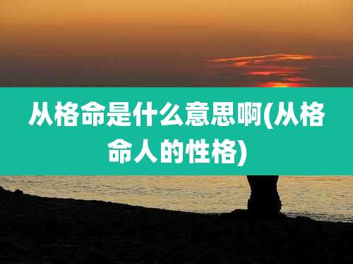 从格命是什么意思啊(从格命人的性格)