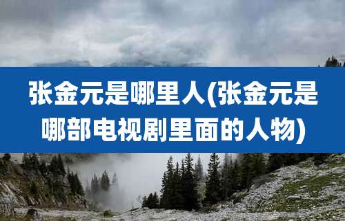 张金元是哪里人(张金元是哪部电视剧里面的人物)