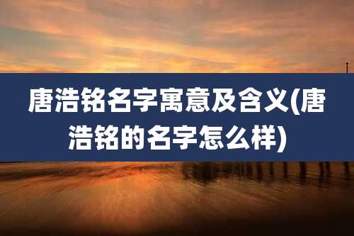 唐浩铭名字寓意及含义(唐浩铭的名字怎么样)