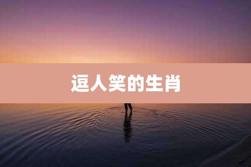 逗人笑的生肖