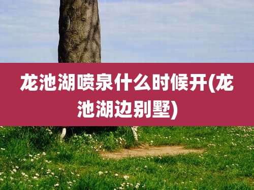 龙池湖喷泉什么时候开(龙池湖边别墅)