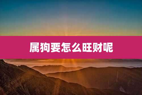 属狗要怎么旺财呢