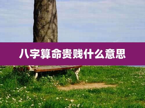 八字算命贵贱什么意思