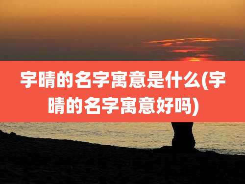 宇晴的名字寓意是什么(宇晴的名字寓意好吗)