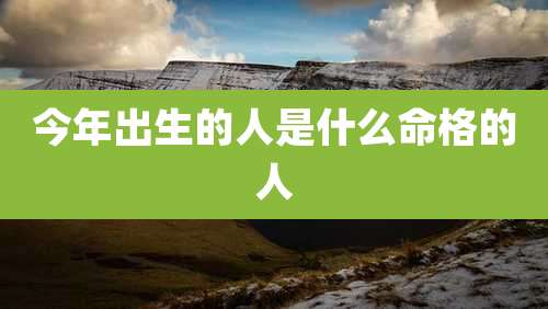 今年出生的人是什么命格的人
