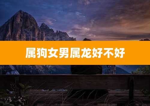 属狗女男属龙好不好