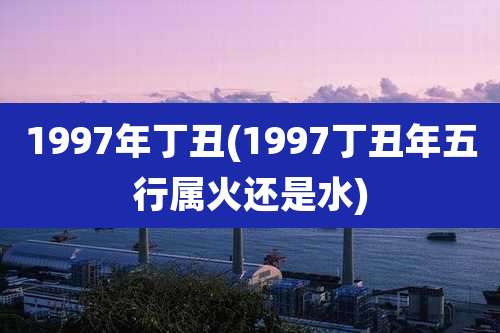 1997年丁丑(1997丁丑年五行属火还是水)