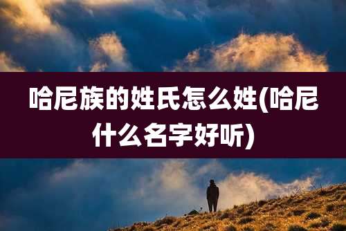 哈尼族的姓氏怎么姓(哈尼什么名字好听)