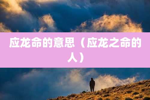 应龙命的意思(应龙之命的人)