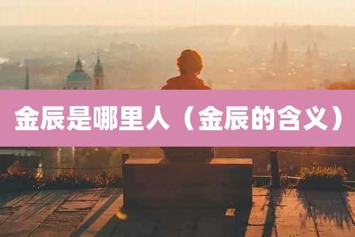 金辰是哪里人(金辰的含义)