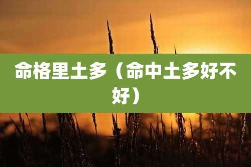 命格里土多(命中土多好不好)