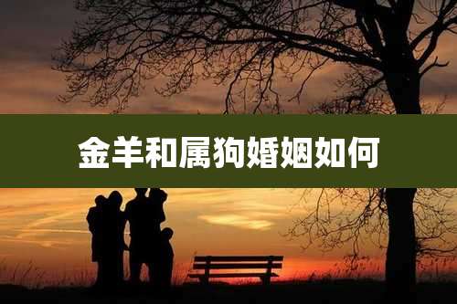 金羊和属狗婚姻如何
