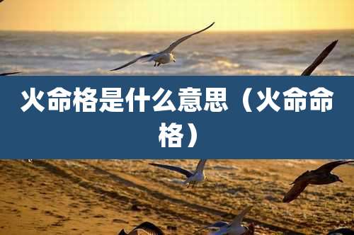 火命格是什么意思(火命命格)