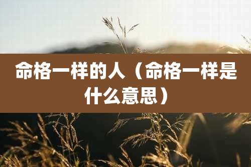 命格一样的人(命格一样是什么意思)