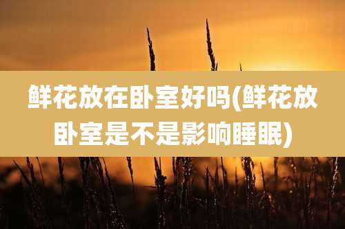 鲜花放在卧室好吗(鲜花放卧室是不是影响睡眠)