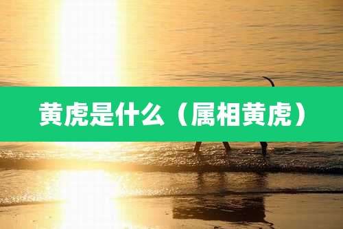 黄虎是什么（属相黄虎）