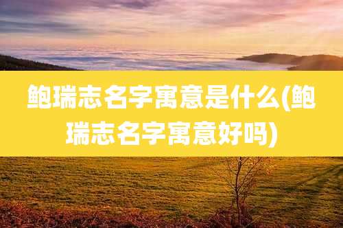 鲍瑞志名字寓意是什么(鲍瑞志名字寓意好吗)