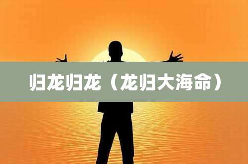 归龙归龙（龙归大海命）
