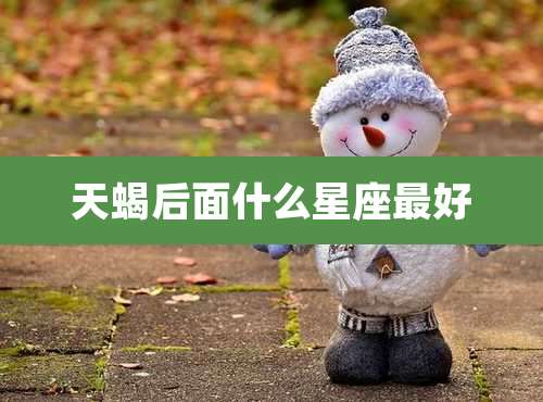 天蝎后面什么星座最好