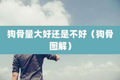 狗骨量大好还是不好（狗骨图解）