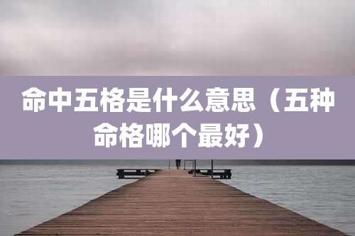 命中五格是什么意思(五种命格哪个最好)