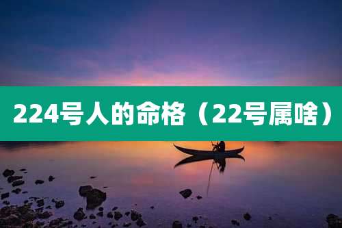 224号人的命格（22号属啥）