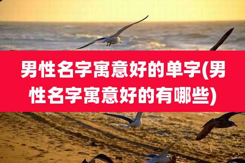 男性名字寓意好的单字(男性名字寓意好的有哪些)