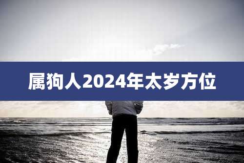 属狗人2024年太岁方位