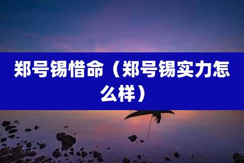 郑号锡惜命(郑号锡实力怎么样)