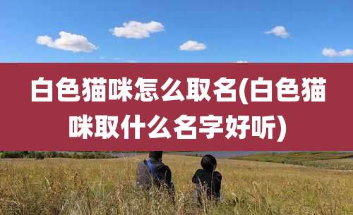 白***咪怎么取名(白***咪取什么名字好听)