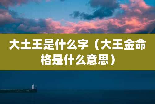 大土王是什么字（大王金命格是什么意思）