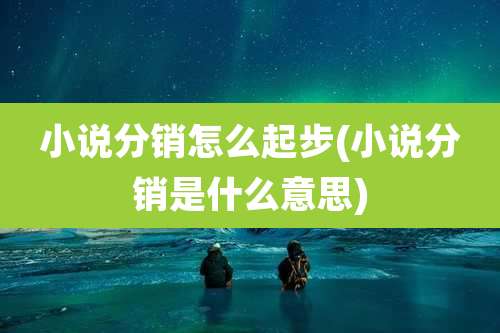 小说分销怎么起步(小说分销是什么意思)