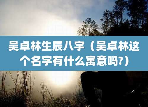吴卓林生辰八字(吴卓林这个名字有什么寓意吗?)