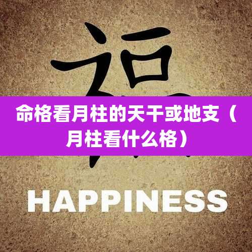 命格看月柱的天干或地支(月柱看什么格)
