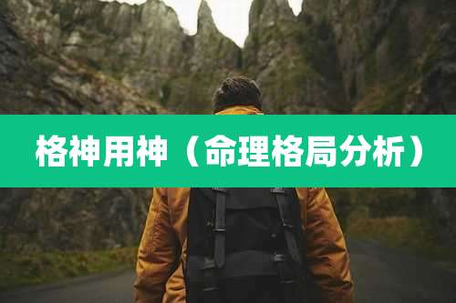 格神用神(命理格局分析)
