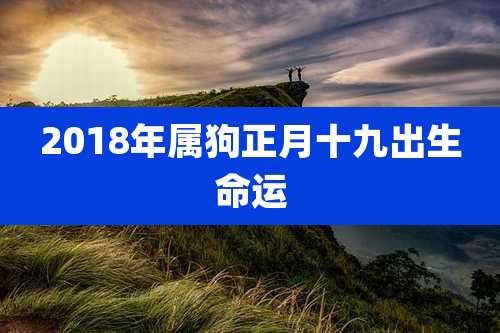 2018年属狗正月十九出生命运