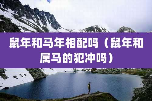 鼠年和马年相配吗(鼠年和属马的犯冲吗)