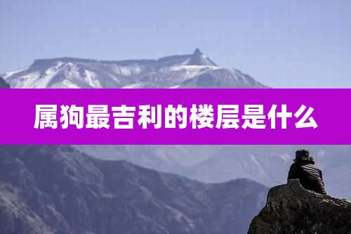属狗最吉利的楼层是什么