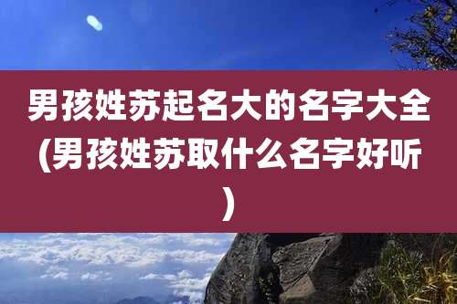 男孩姓苏起名大的名字大全(男孩姓苏取什么名字好听)