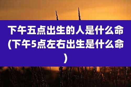下午五点出生的人是什么命(下午5点左右出生是什么命)