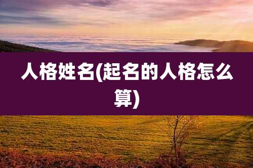 人格姓名(起名的人格怎么算)