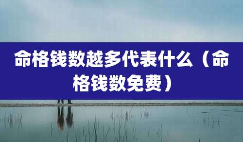 命格钱数越多代表什么（命格钱数免费）