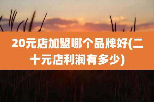 20元店加盟哪个品牌好(二十元店利润有多少)