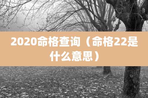 2020命格查询(命格22是什么意思)