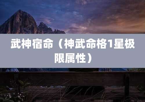 武神宿命(神武命格1星极限属性)