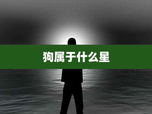 狗属于什么星