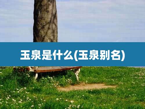 玉泉是什么(玉泉别名)