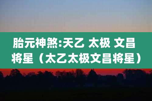 胎元神煞:天乙 太极 文昌 将星(太乙太极文昌将星)