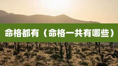 命格都有(命格一共有哪些)