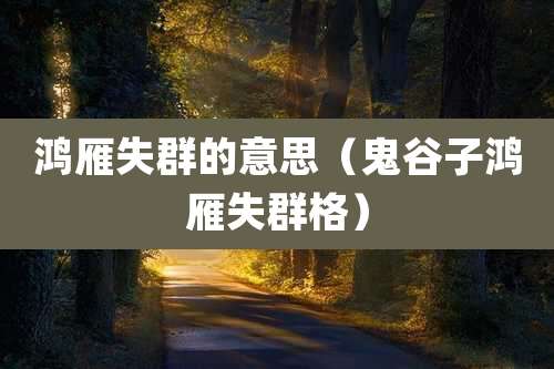 鸿雁失群的意思(鬼谷子鸿雁失群格)